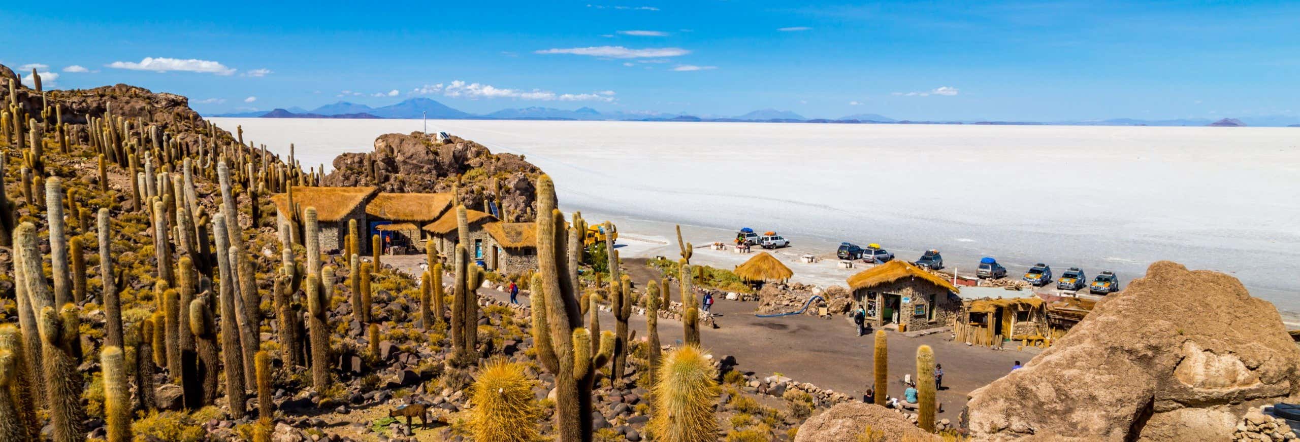 Salar de Uyuni Day Trip