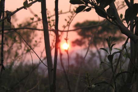Imagen 6