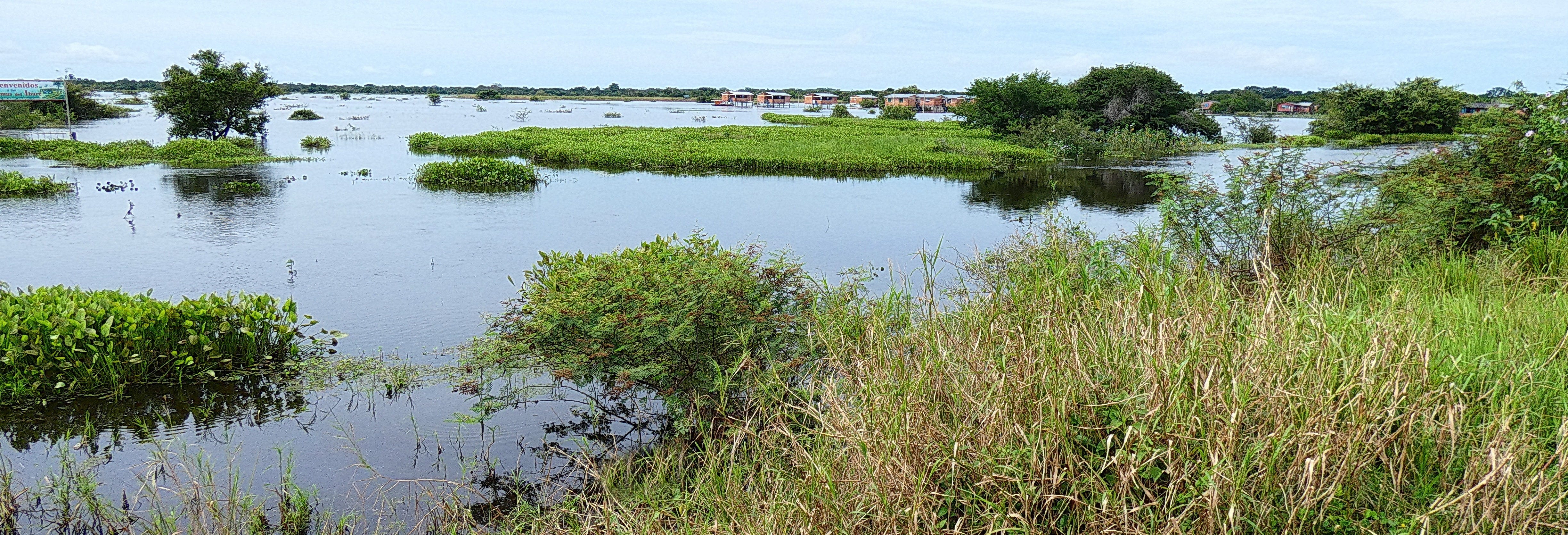 Ibare-Mamoré Protected Area Guided Tour