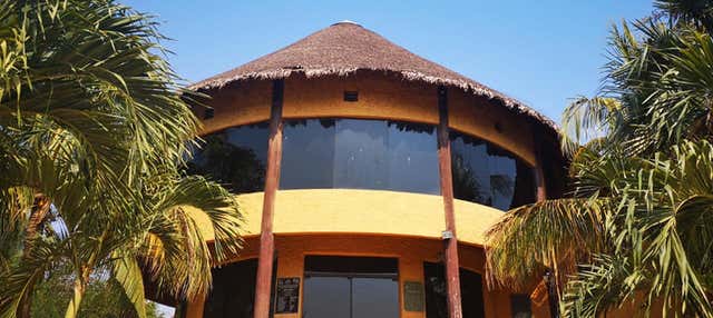 Kenneth Lee Museum Tour