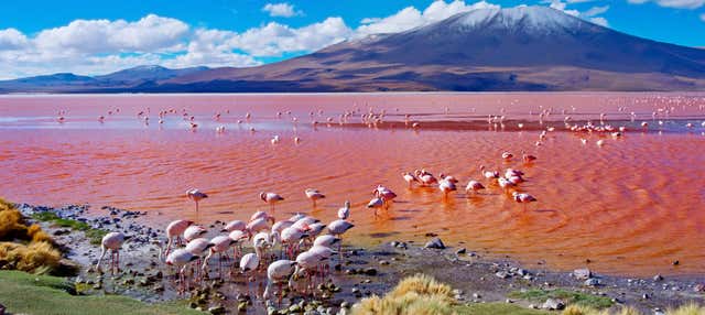 Tour di 4 giorni da Uyuni a La Paz