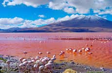 Uyuni to La Paz: 4 Day Tour