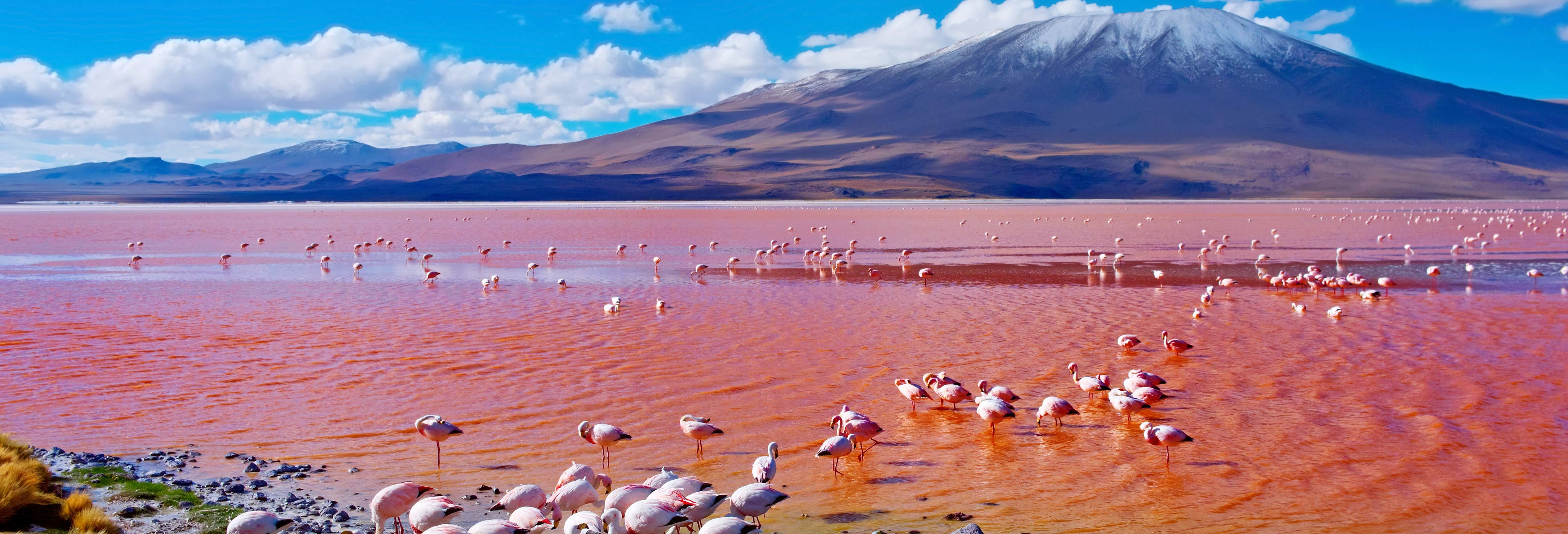 Tour di 4 giorni da Uyuni a La Paz