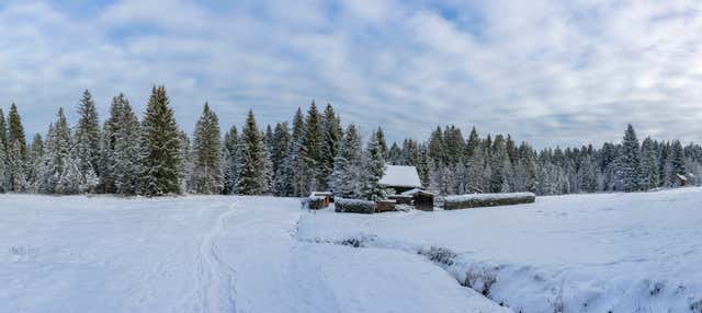 Escursione alle Montagne Olimpiche e Vrelo Bosne
