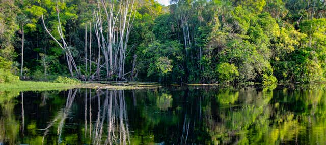 Tour di 5 giorni sul fiume Arapiuns