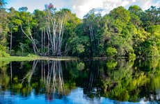 Arapiuns River 5-Day Tour