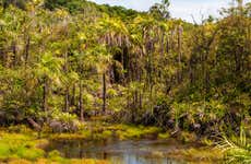Tapajós National Forest Tour