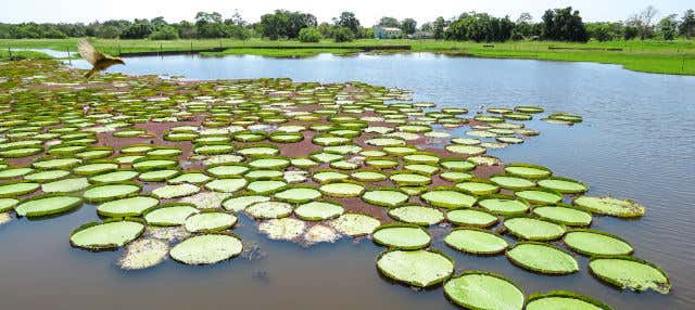 Tour del Canal do Jari