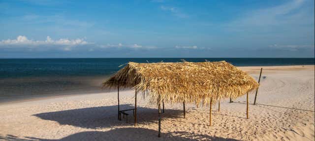 Tour delle comunità del fiume Tapajós