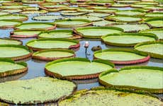 Maicá Lake Tour