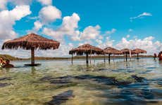 Excursión a la Lagoa dos Tambaquis