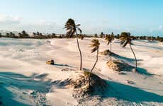 Mangue Seco Day Trip