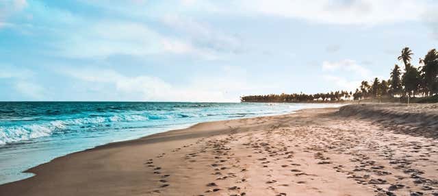 Escursione a Praia do Forte