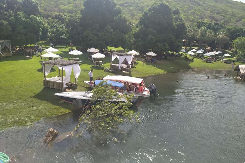 Imagen 2