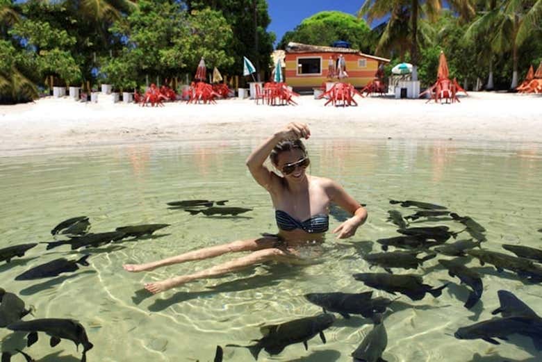 Wikitravel