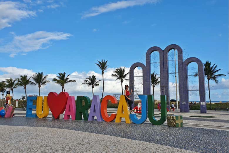 Imagen 7