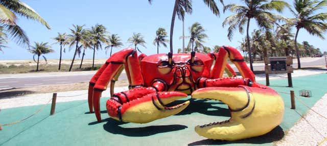 Tour privato di Aracaju