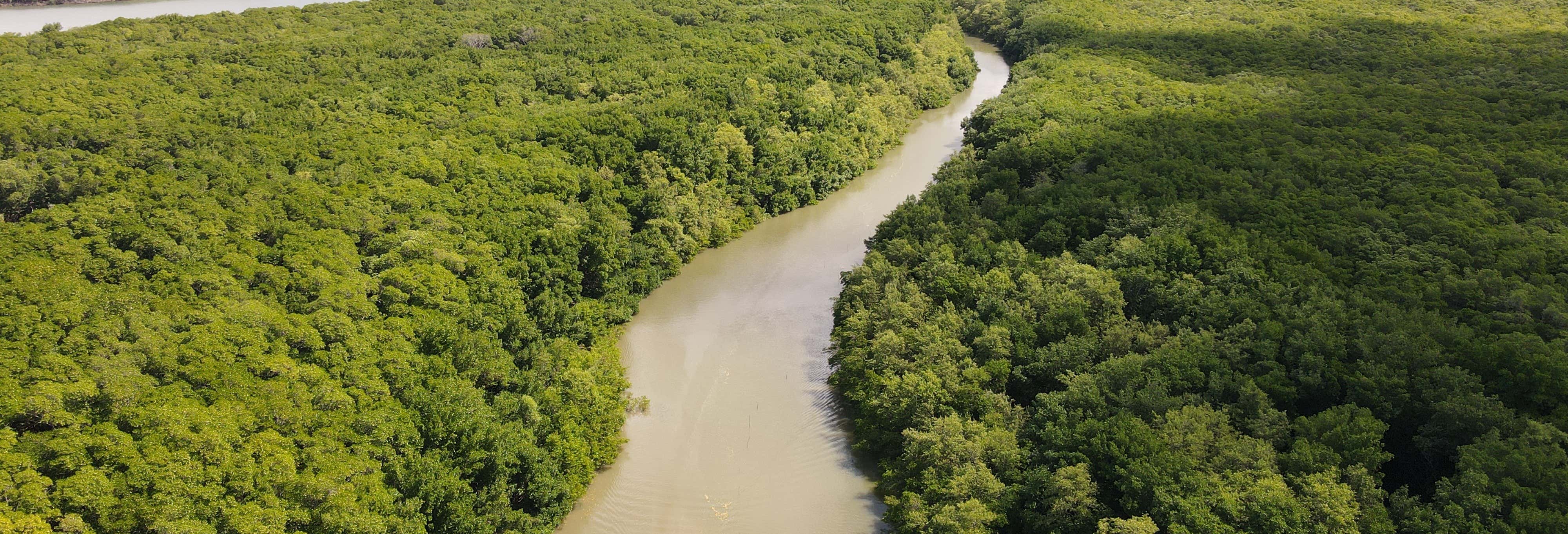 Parnaíba Delta Excursion by Boat