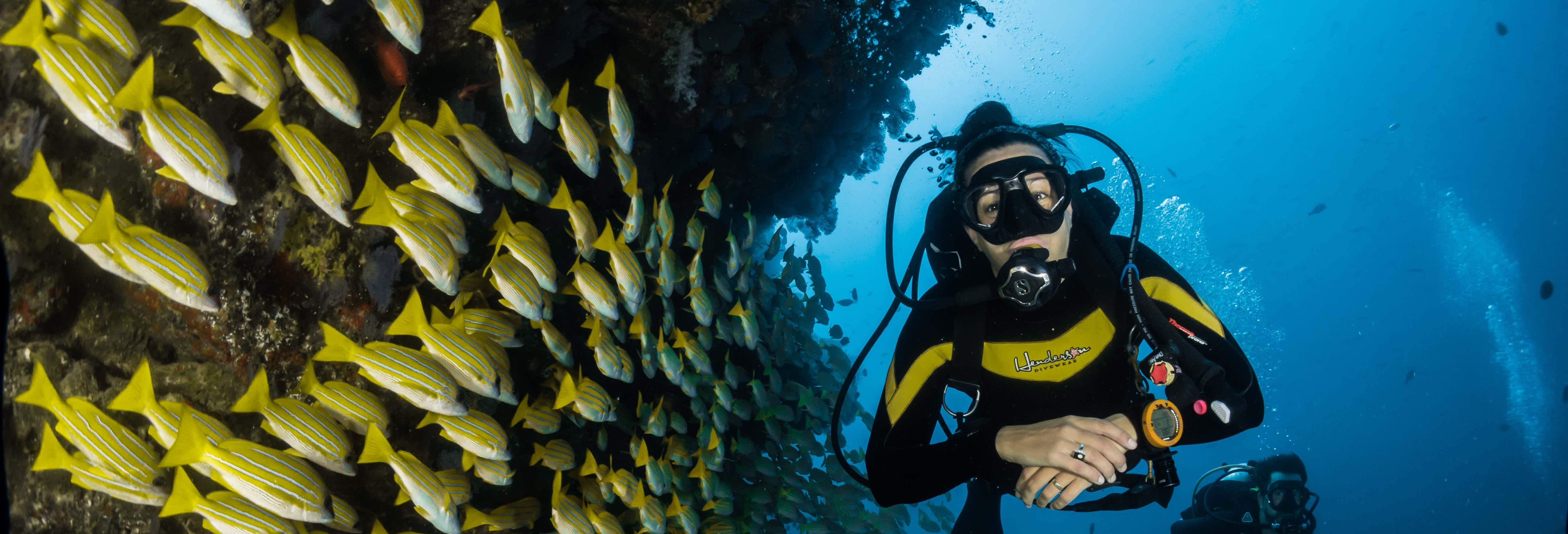 Arraial do Cabo Diving Introduction