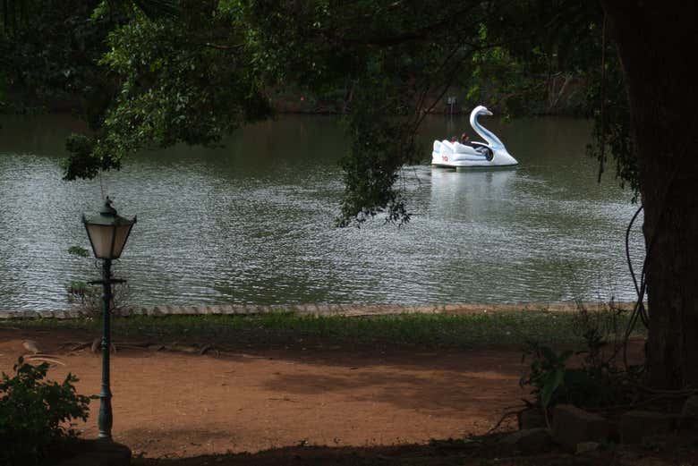 Imagen 4
