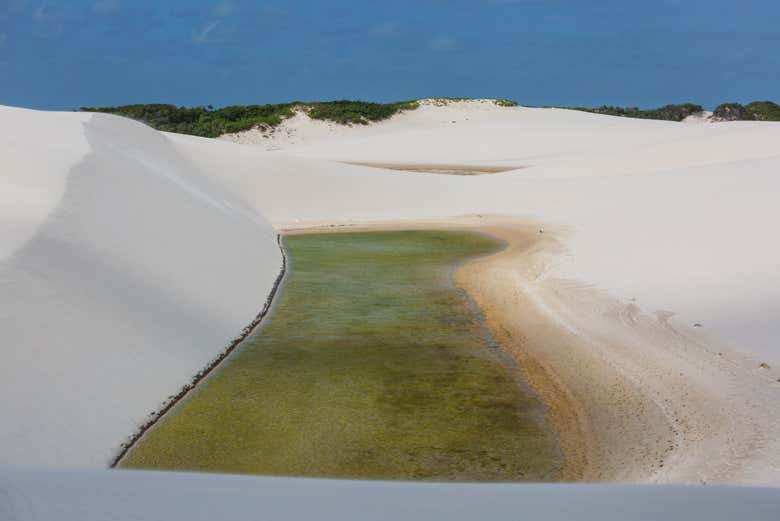 Imagen 7