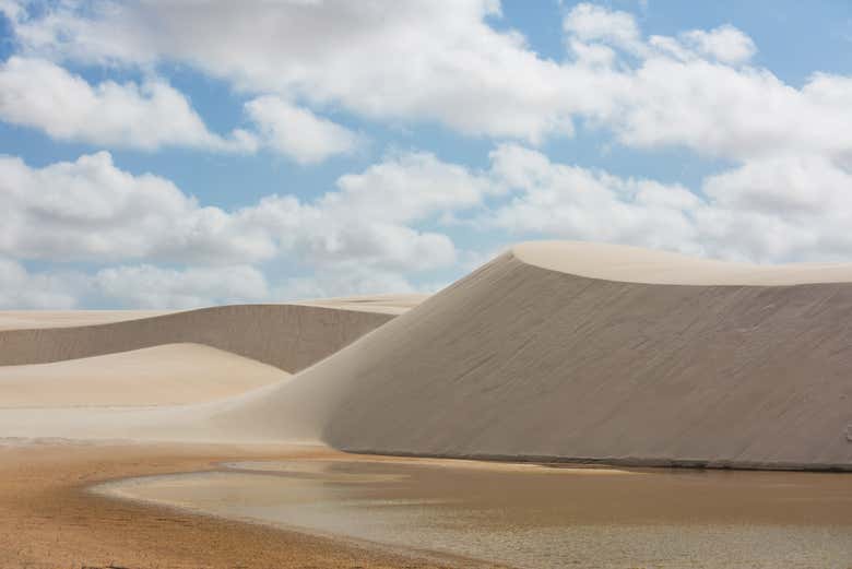 Imagen 8