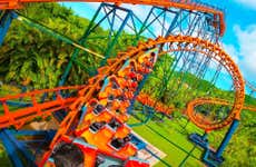 Beto Carrero World Day Trip