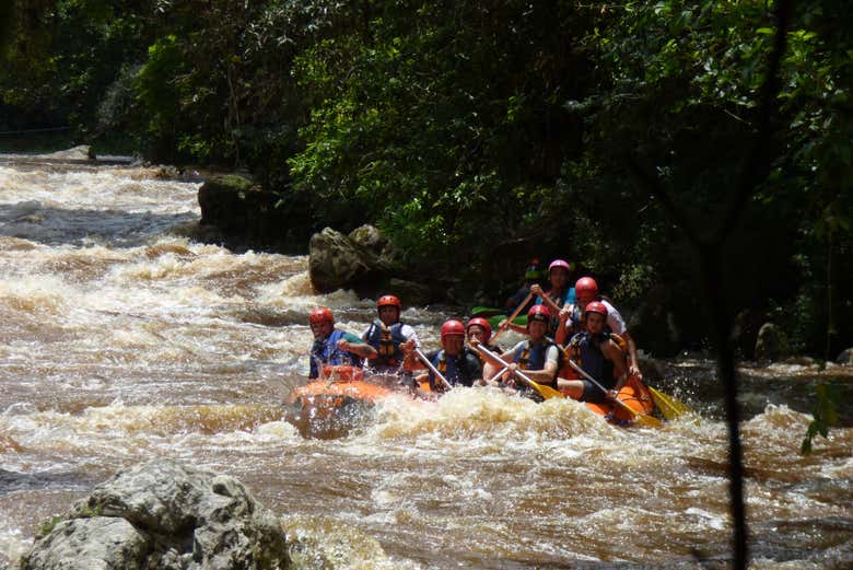 Imagen 4