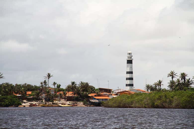 Imagen 7