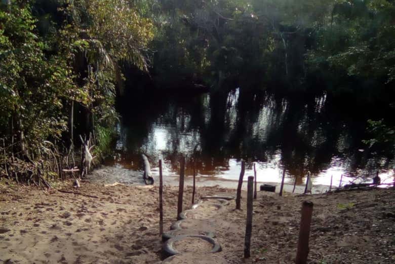 Imagen 6