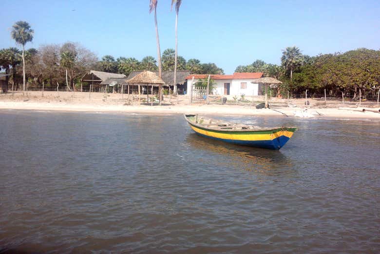 Imagen 8