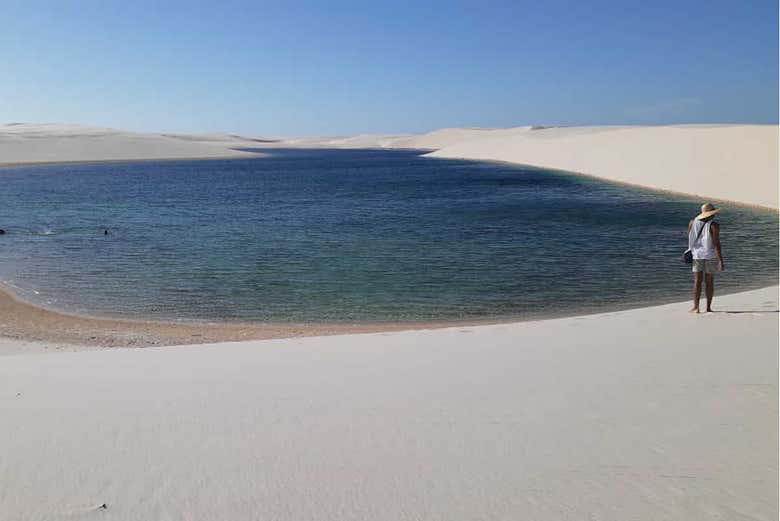 Imagen 5