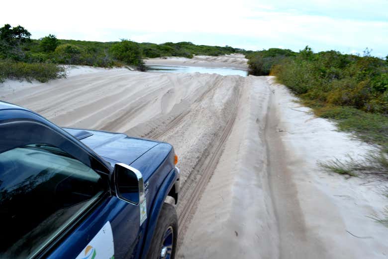 Imagen 7