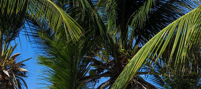 Transfer ad Atins in motoscafo