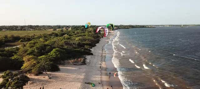 Excursión a la bahía de Marajó