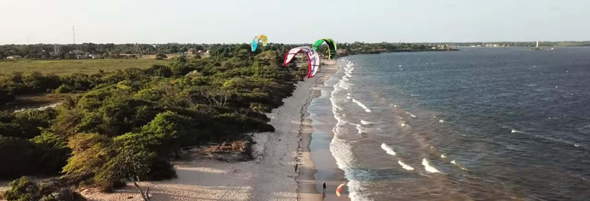 Excursion dans la baie de Marajó