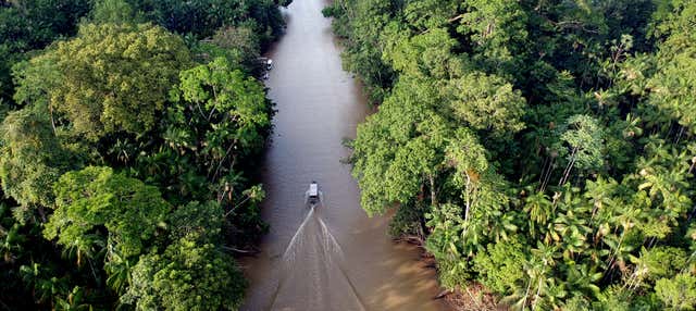 Giro in barca all'isola di Combú