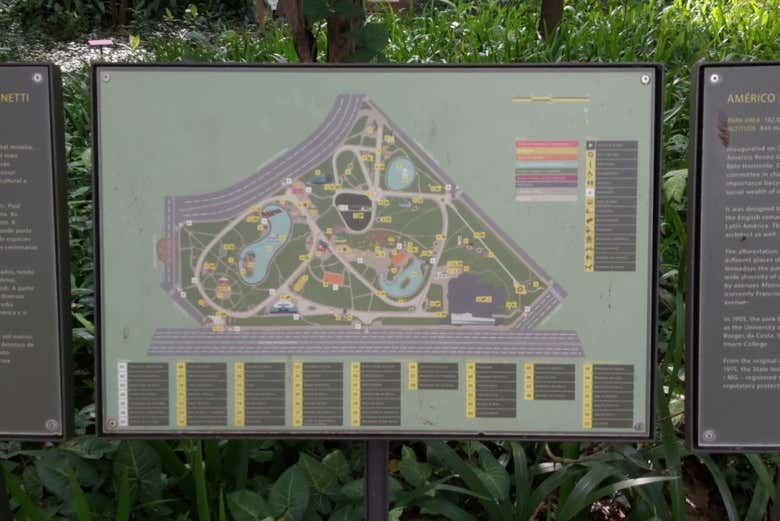 Imagen 5