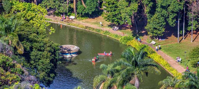 Tour privado por el Parque Municipal, el Palacio de las Artes y la Catedral
