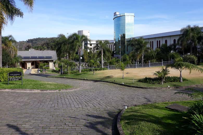 Imagen 6