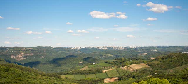 Tour delle cantine della Vale dos Vinhedos