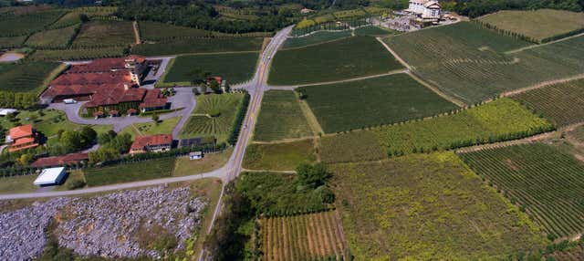 Tour dell'immigrazione italiana