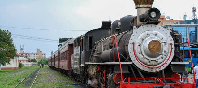 Treno Maria Fumaça + Visita alla Vinícola Garibaldi