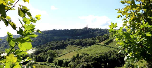 Visita alla cantina Salton + Degustazione di cachaça