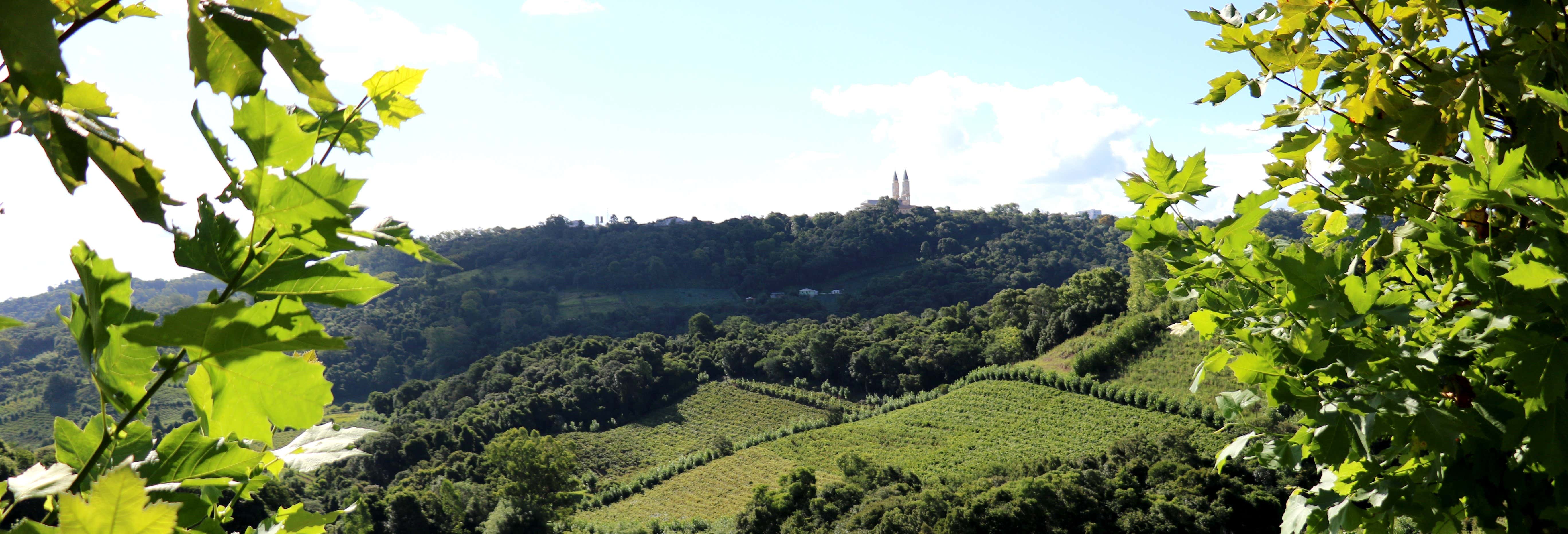 Salton Winery Visit + Cachaça Tasting