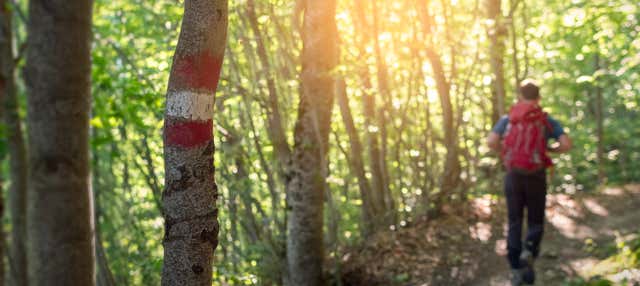 Trekking a Bertioga + Giro in barca