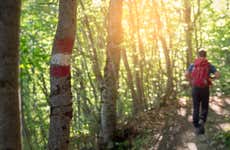 Bertioga Hiking Tour + Boat Trip