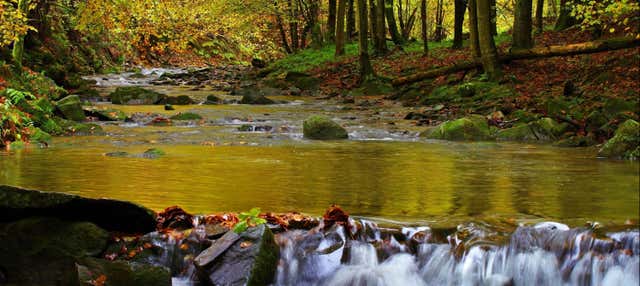 Trekking fino alla cascata di Guaratuba