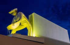Boa Vista Night Tour