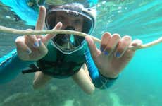 Snorkeling at Sepultura Beach